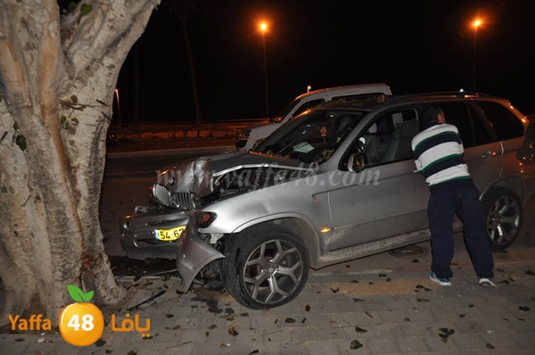 shajara acednet3h5 kedem (10).JPG